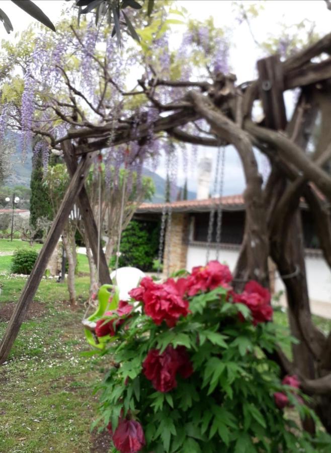 Villetta Blue Garden Sonnino Exterior photo